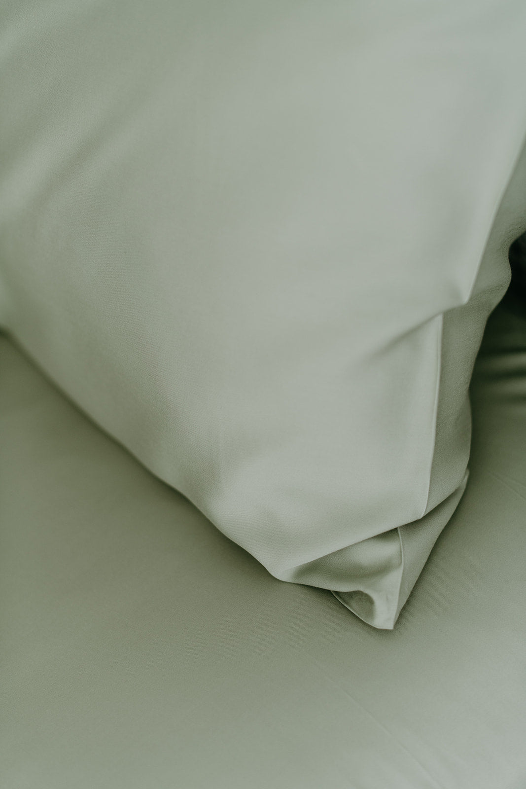 Bamboo Adult Pillowcase Set