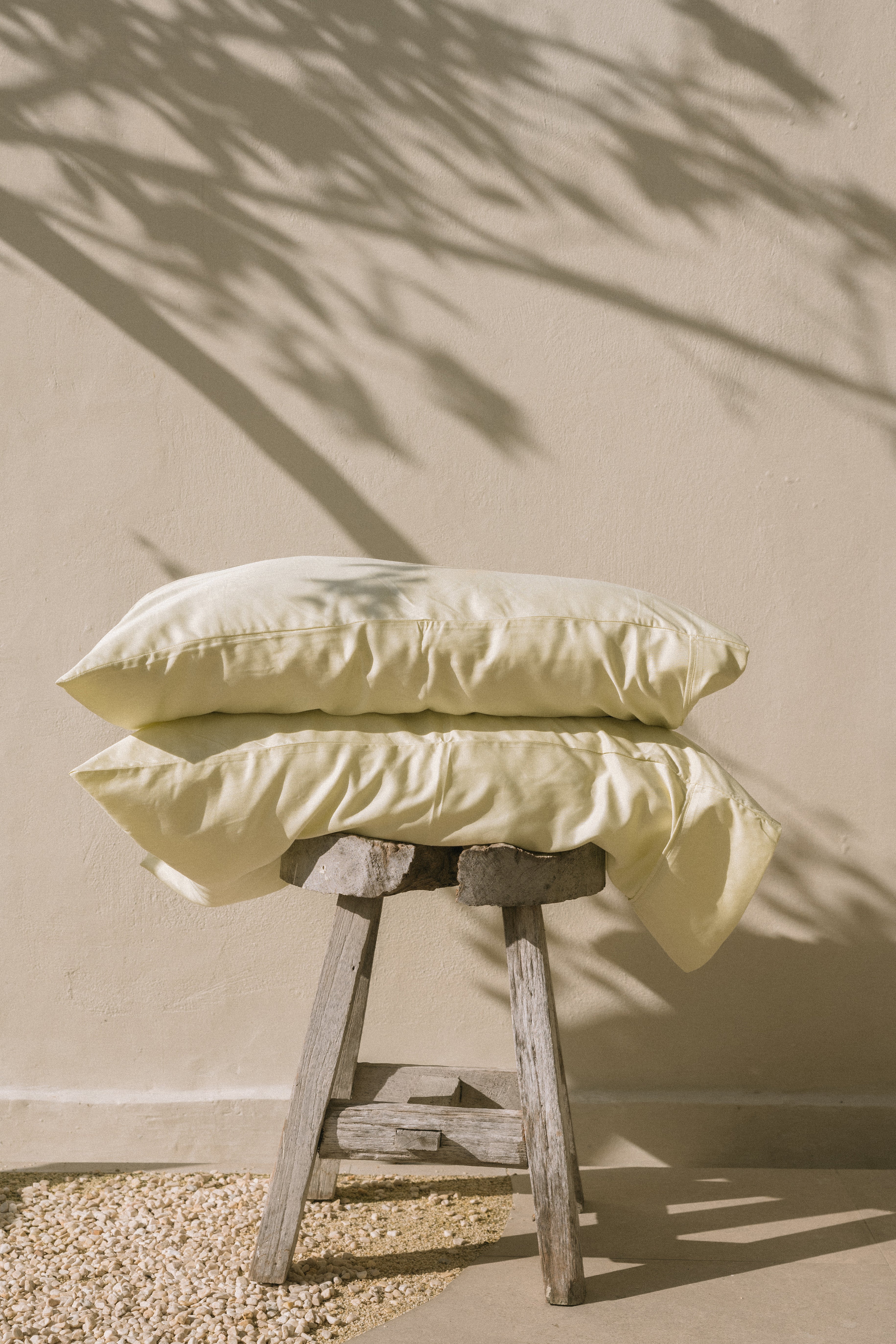 Bamboo Adult Pillowcase Set